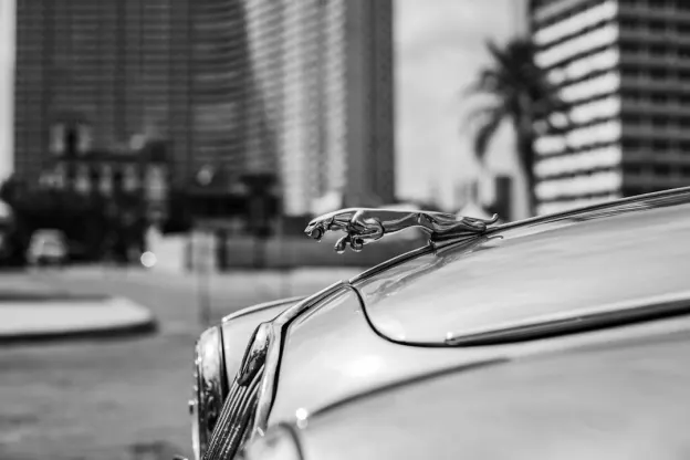 Kazoom Cazinou Aplicație Android/iOS